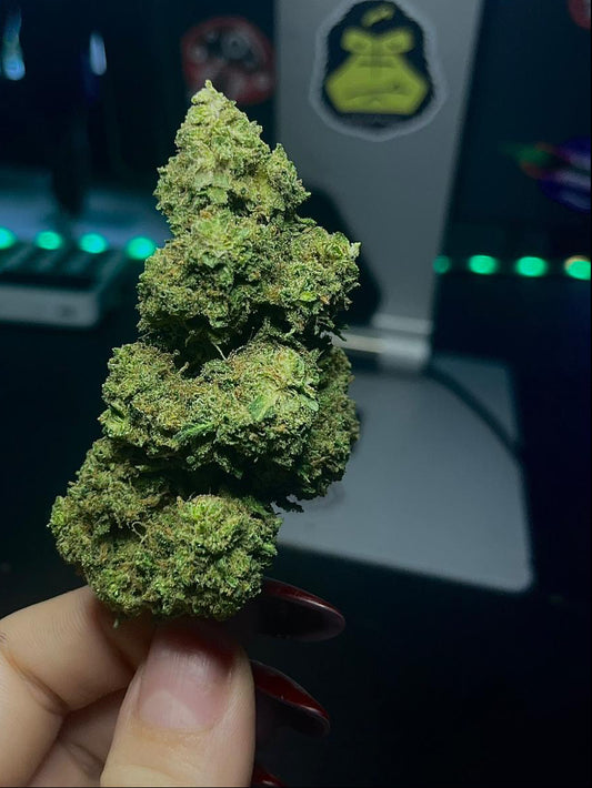 Amnésia x Cannatonic CBD-X