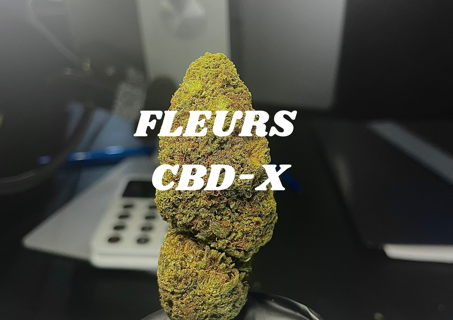 FLEURS CBD-X