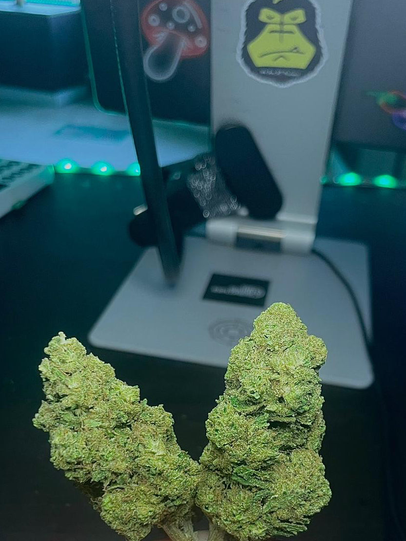 Banana Kush CBD-X