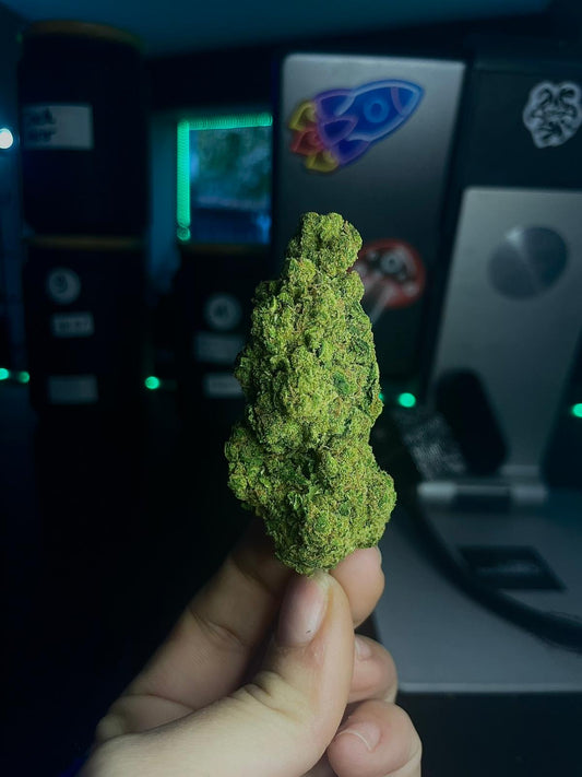 Northern Light HYDRO